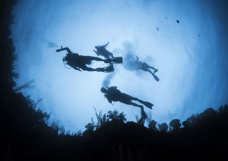 Buceo en Roatán